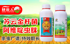 ���ϸ������r�I�Ƽ����޹�˾