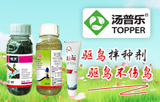 ɽ�|���՘�����ƌW���޹�˾ 