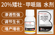 ���ϰ����r�r�I�Ƽ����޹�˾