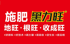 �������B�Ļ��W���I���F�ɷ����޹�˾