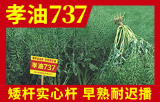 �Ĵ������N�I���޹�˾