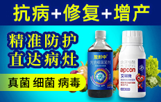 ���ϰ������ﱣ�o���޹�˾