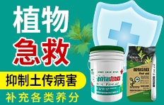 ������μ����H�������޹�˾